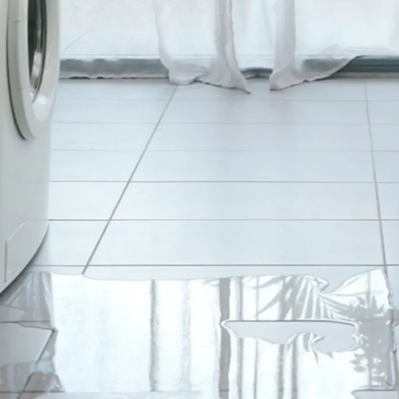 Appliance Leak Cleanup in Unalaska, AK